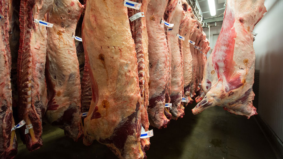 Guide to understanding a beef killing-out sheet - Farmers Weekly