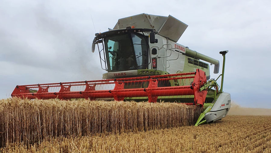 Harvest at New Hook Farm