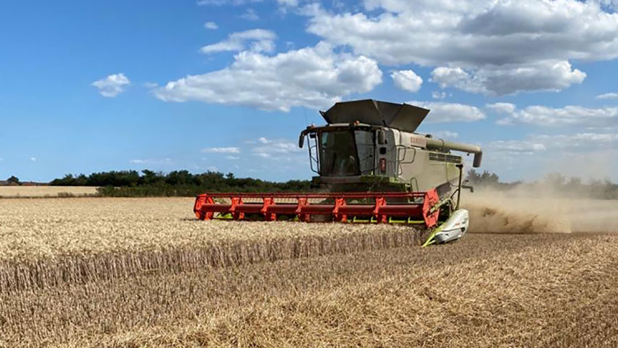 Harvest at New Hook Farm