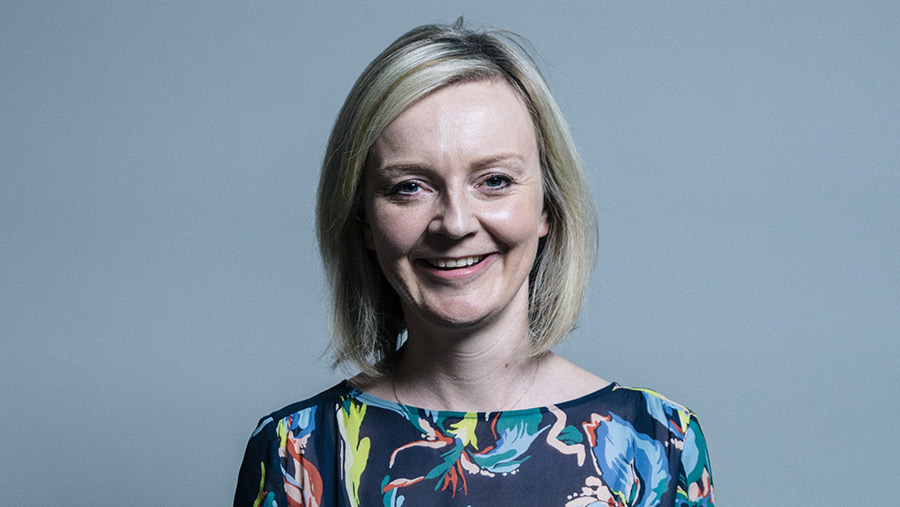 Liz Truss