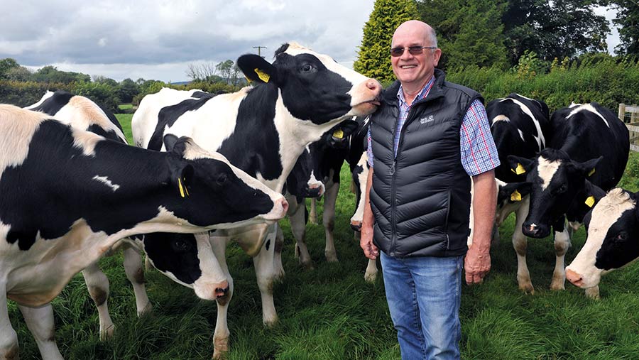 Keith Williams with his dairy heifers