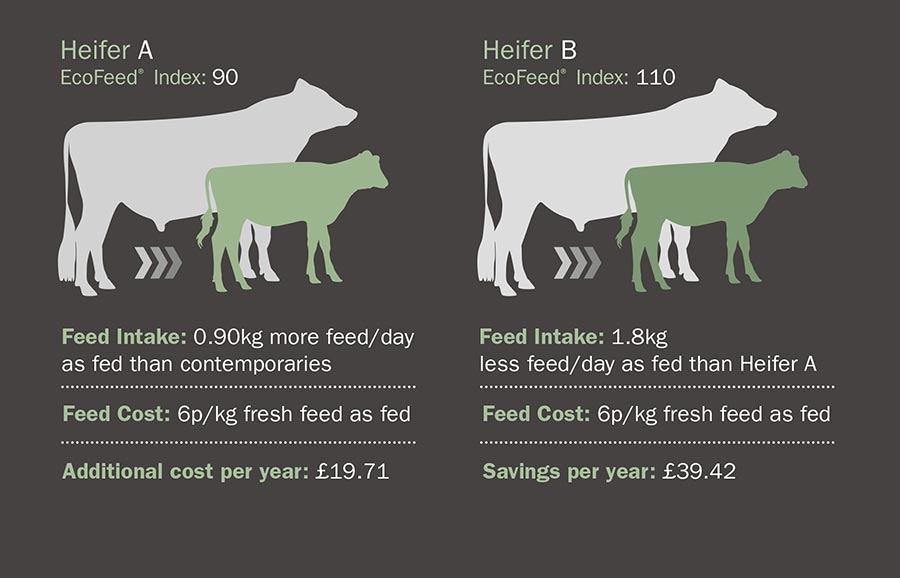 Cogent launches new feed efficiency index - Farmers Weekly