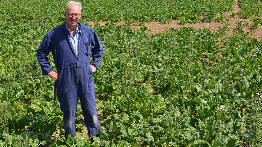 David Fahie in sugar beet crop