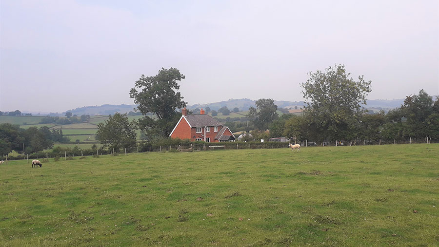 Penbryn farm