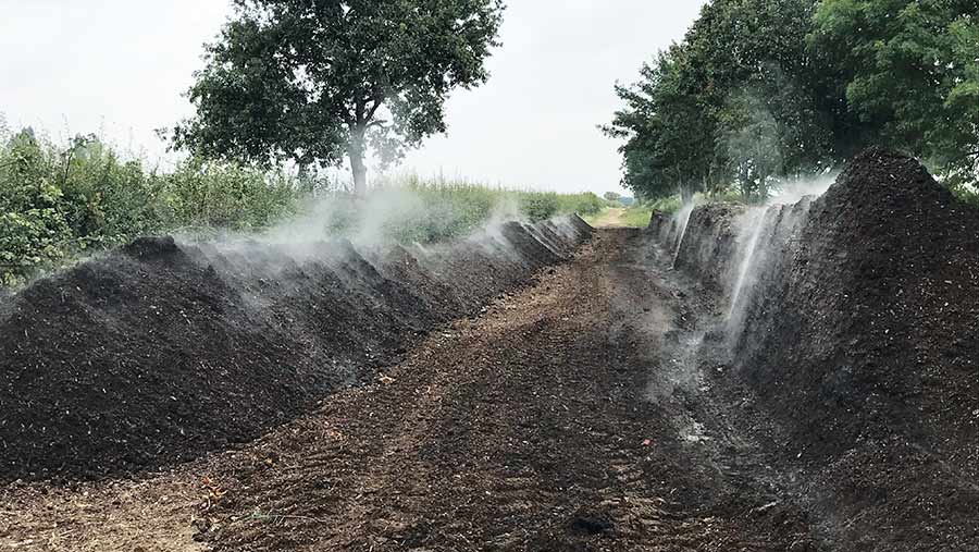 Windrows of steaming compost