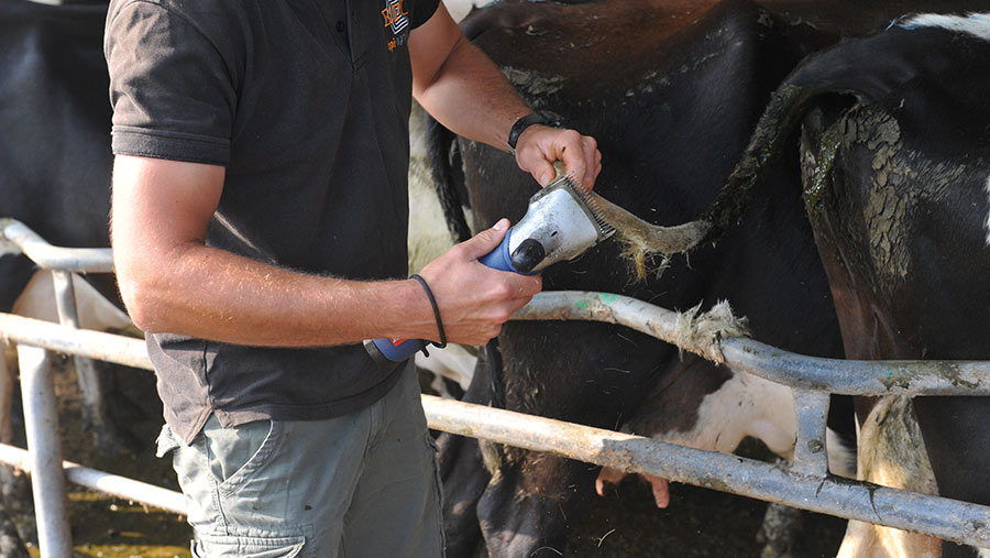 Heiniger clippers in use