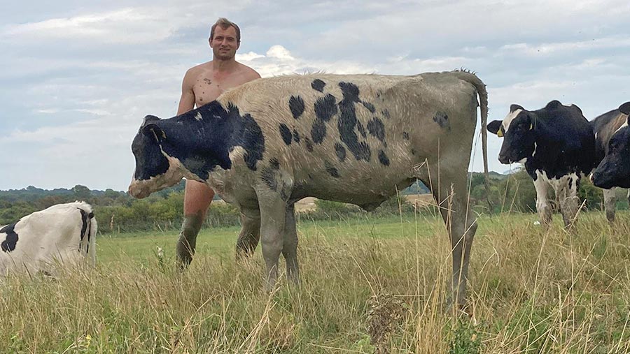 Farmer Ryan Gue rescues heifer from river