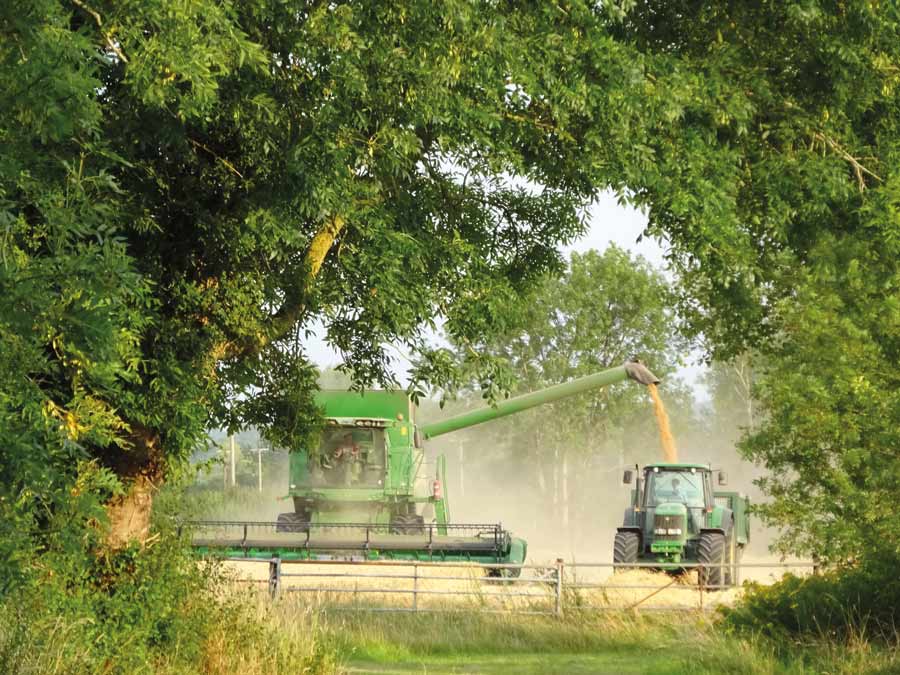 Combine in field under trees