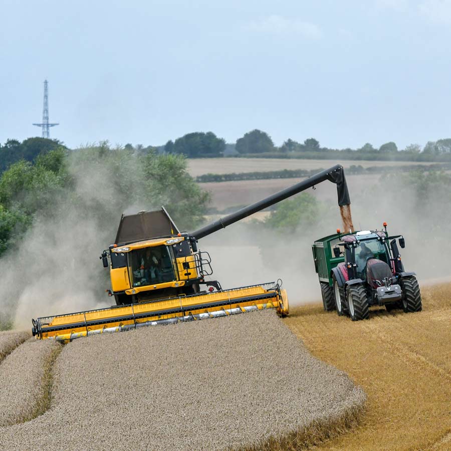 Combine in field