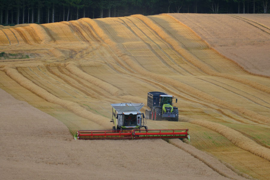 Combine in field