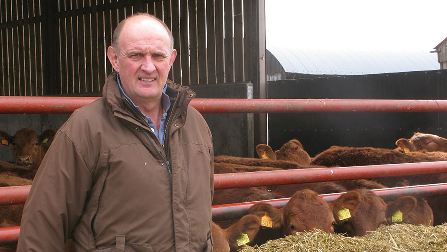 John Aynsley with cattle