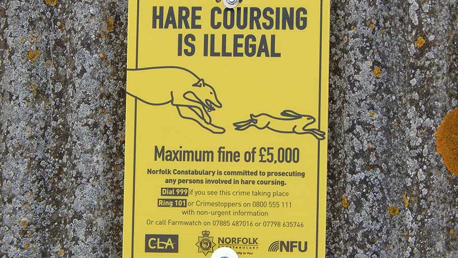 Hare coursing sign