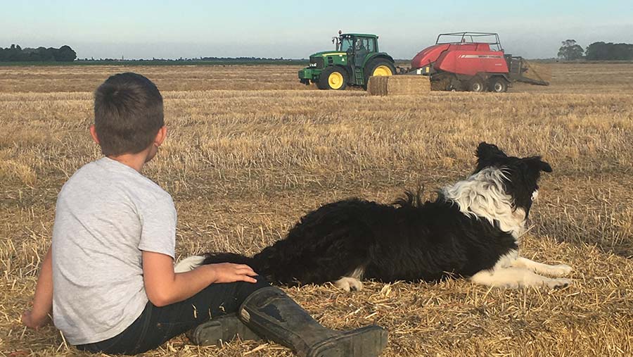 Boy and dog in field with tractor