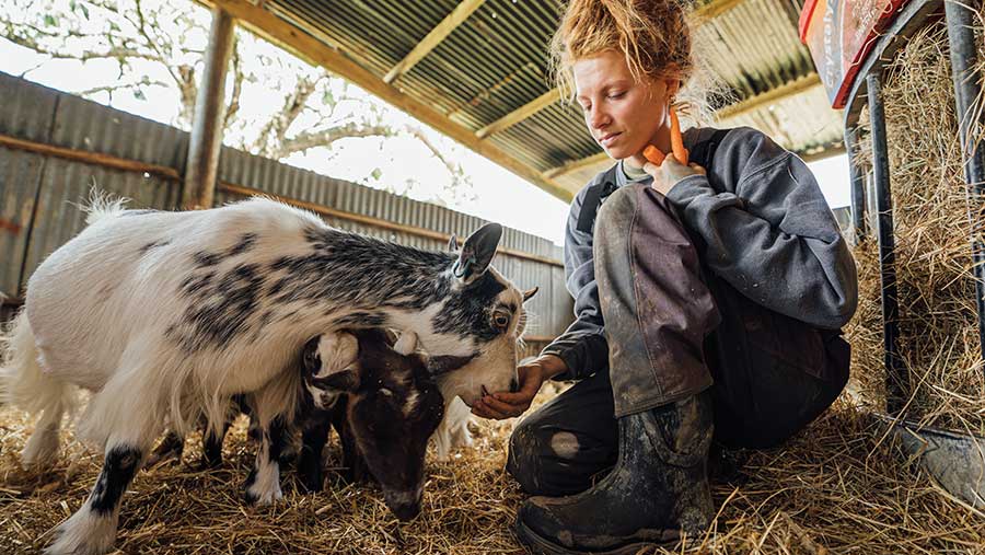 Zoe Colville in a barn with goats