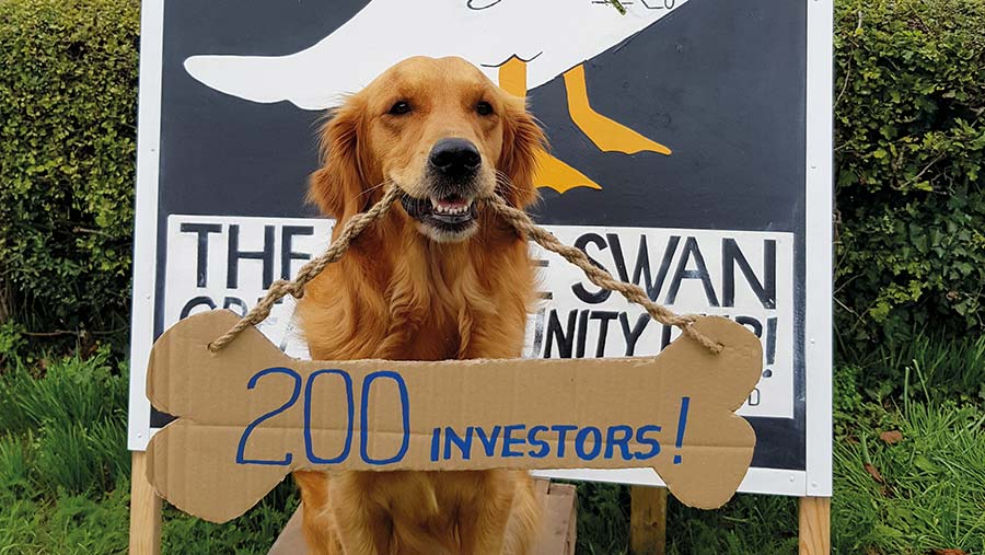 Chilli the golden retriever with a sign around his neck announcing investor totals