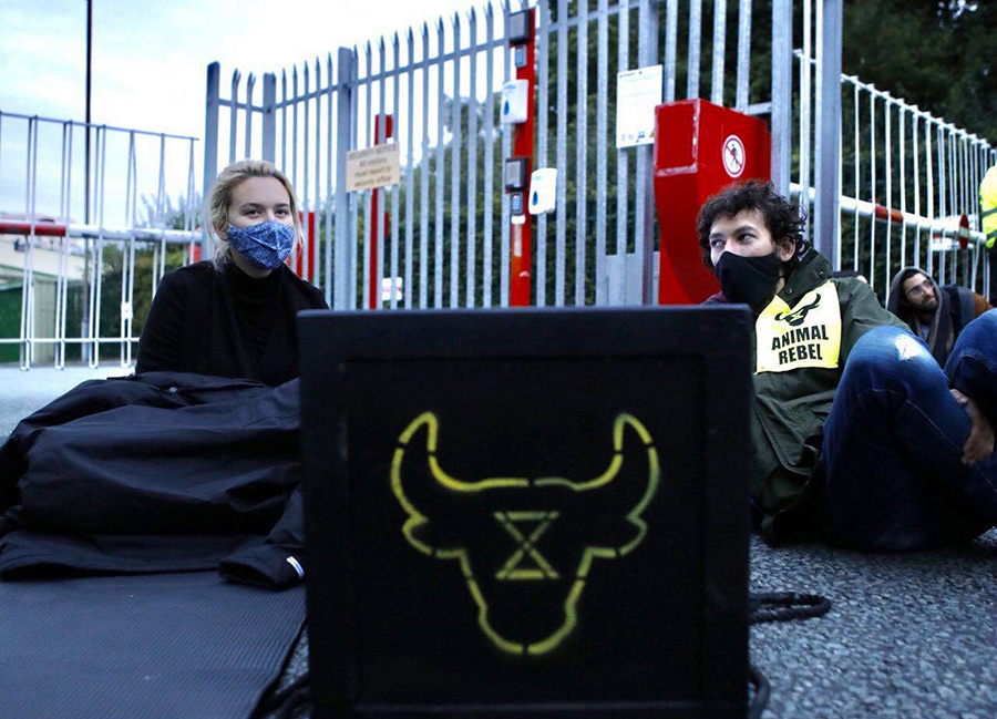 Protestors with coffin