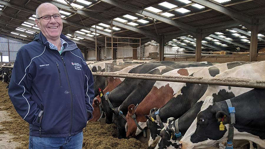 Stephen Jones with cows