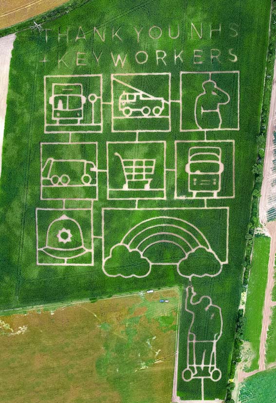 Maize maze showing NHS tribute