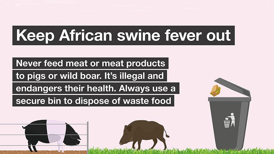 african swine fever warning graphic