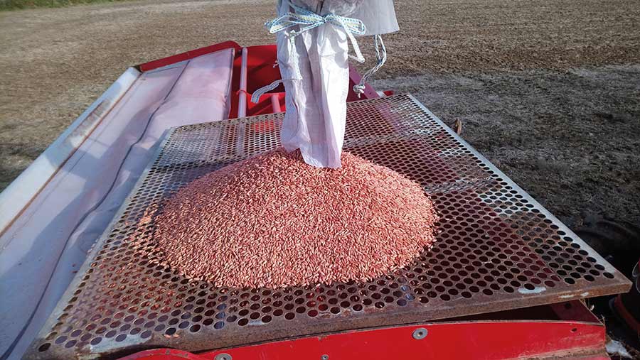 barley sieve