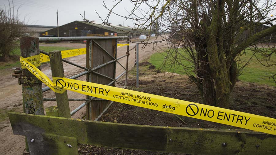 Cordon up after bird flu outbreak