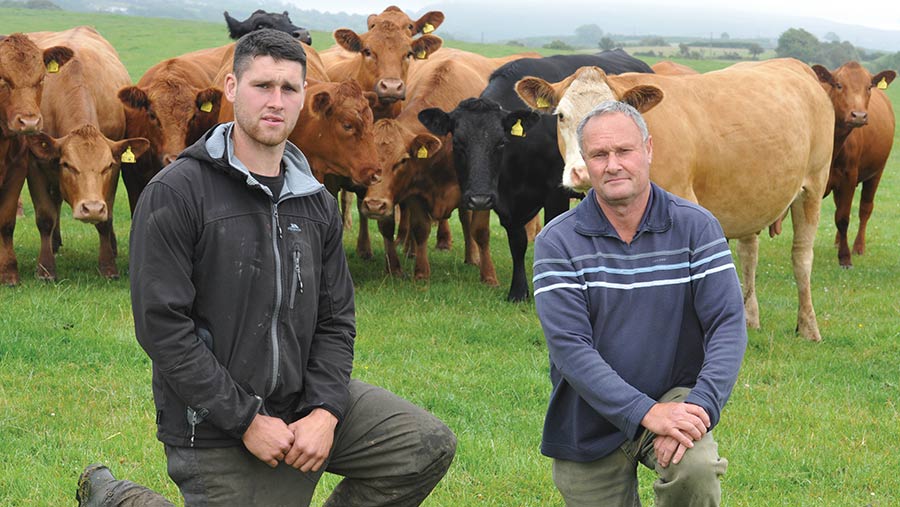 Edward and Ellis (pictured left) Griffith produce bull beef from their Stabiliser herd © Debbie James