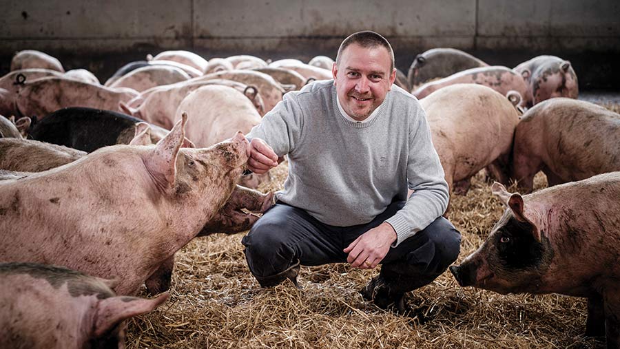 Phil Baynes in shed with pigs