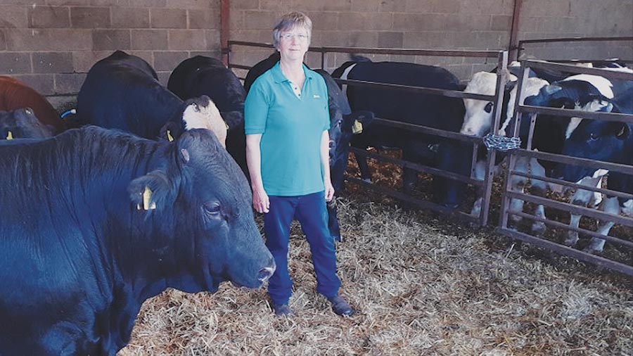Rosey Dunn with cattle
