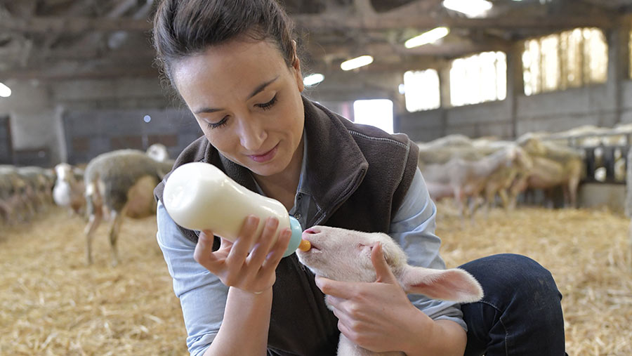 Woman feeding lamb with bottle