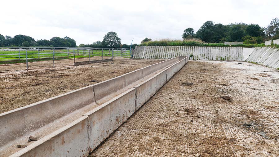 Concrete feeding trough