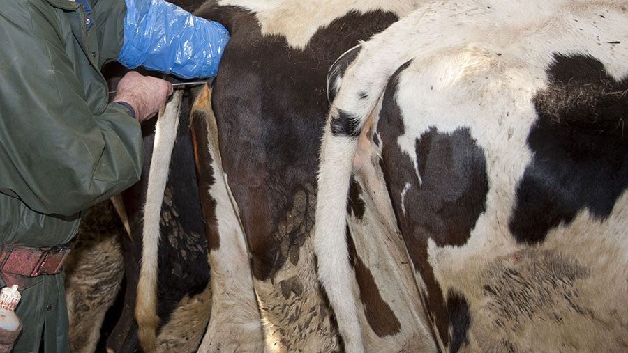 Improved Sexed Semen Option Gives 97 Females Farmers Weekly