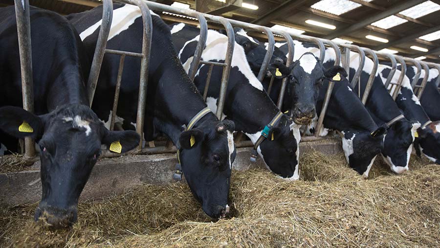 Producers warned over straw feed - Farmers Weekly
