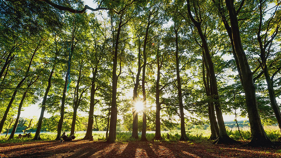 South Downs National Park © South Downs National Park Authority