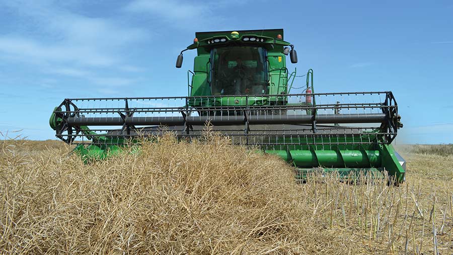 Harvesting oilseed rape