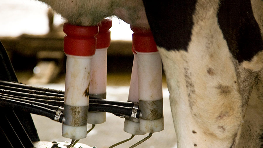 7 Reasons Mastitis Is More Challenging In Automatic Milking Farmers