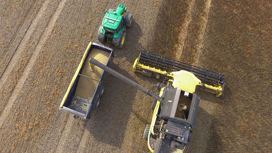 Bean harvest from the air