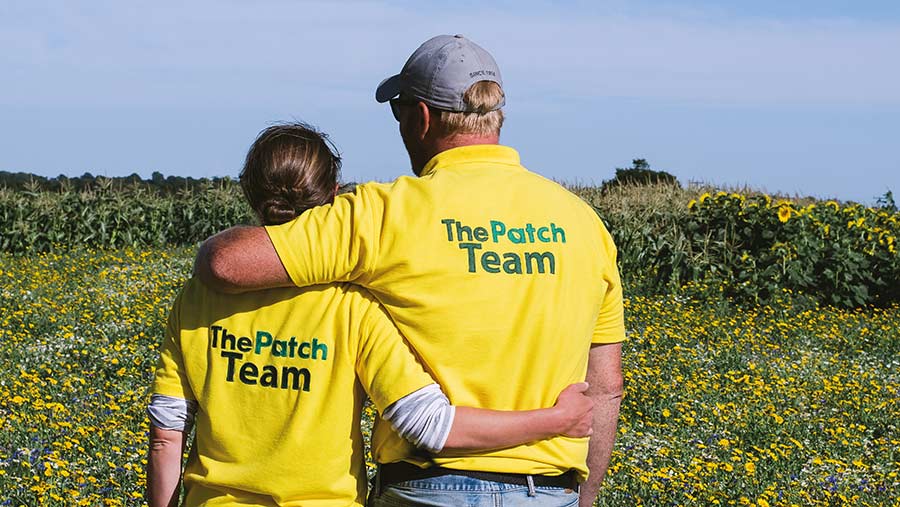 Joe and Roz Gurney in sunflower field