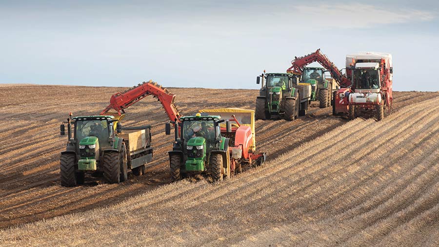 Lifting seed potatoes