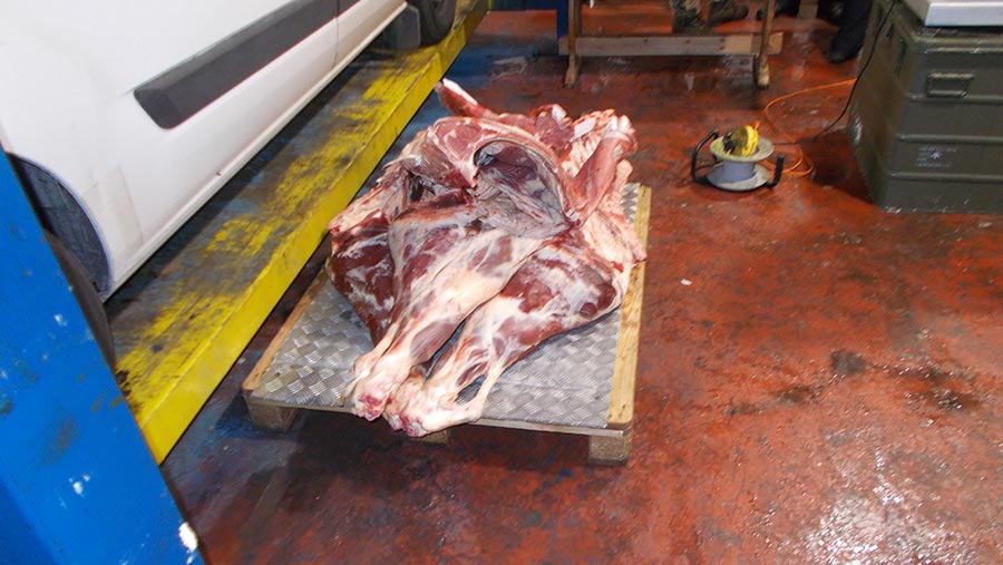 Meat found by inspectors at the first carwash © Wiltshire District Council