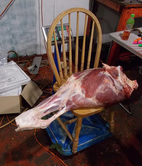 Meat sitting on a kitchen chair