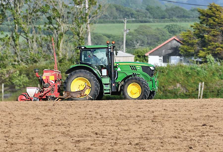 The John Deere deer © Kerensa Cobbledick