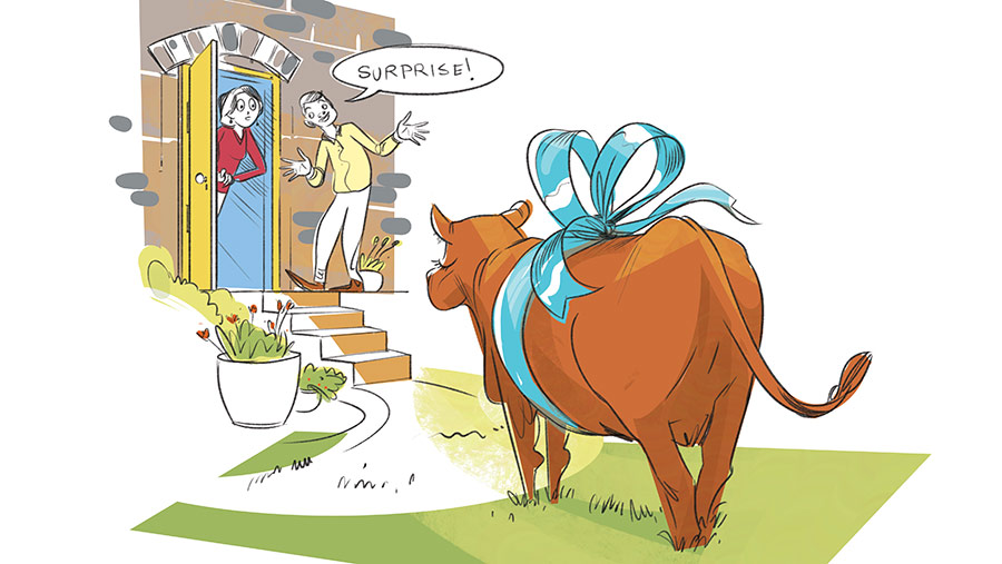 Folly the cow cartoon