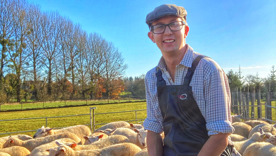 Karl Franklin with his sheep flock