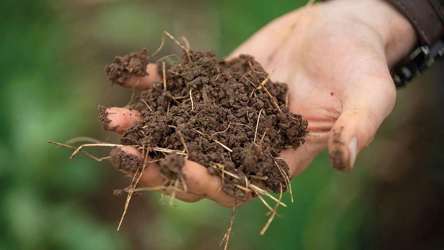 hand full of soil