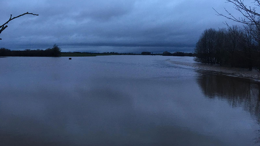 Field under water