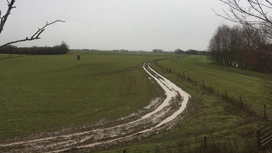 Field of Newton Lodge Farm