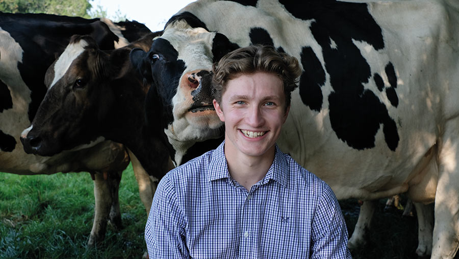 Joe Bramall with dairy cows