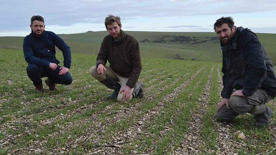 Robin Kelly, Stephen Woodley and David Ellin in a field of the winter wheat variety Bassett