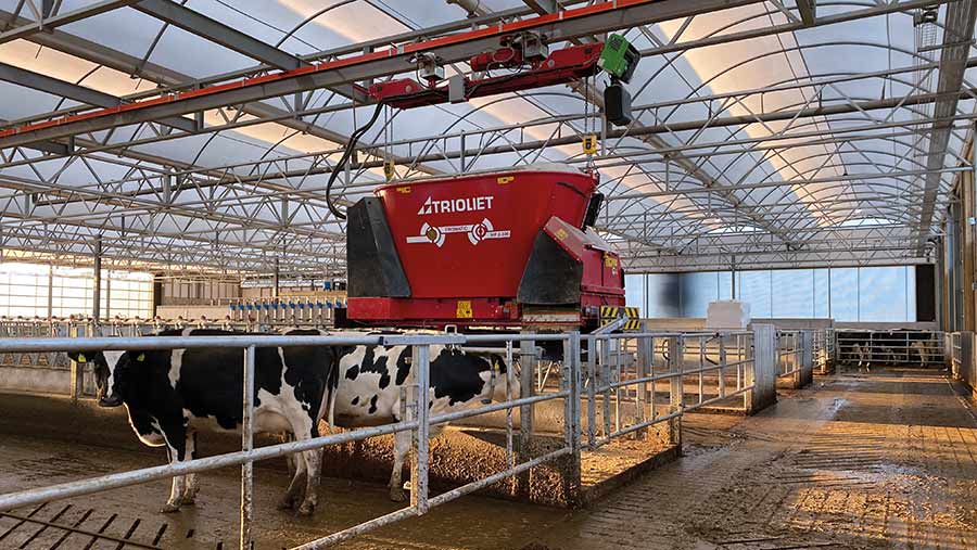 Automatic cow feeding system