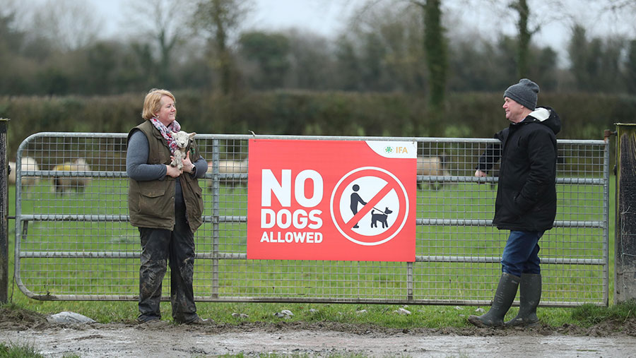 Sheep farmer Marita Phelan and IFA Sheep Chairman Sean Dennehy at the launch of IFA’s ‘No Dogs Allowed’ campaign banning dogs from farmland due to the increasing number of attacks on livestock